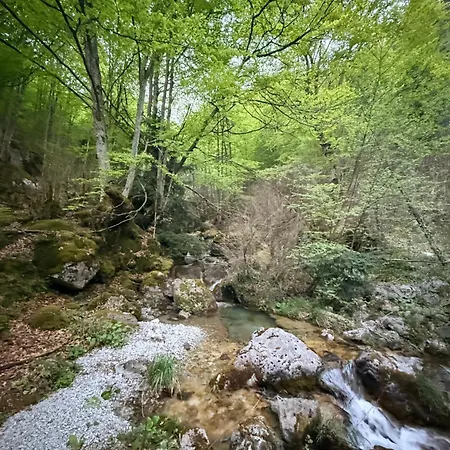 Olympus Refuge D Szálloda Litóhoro